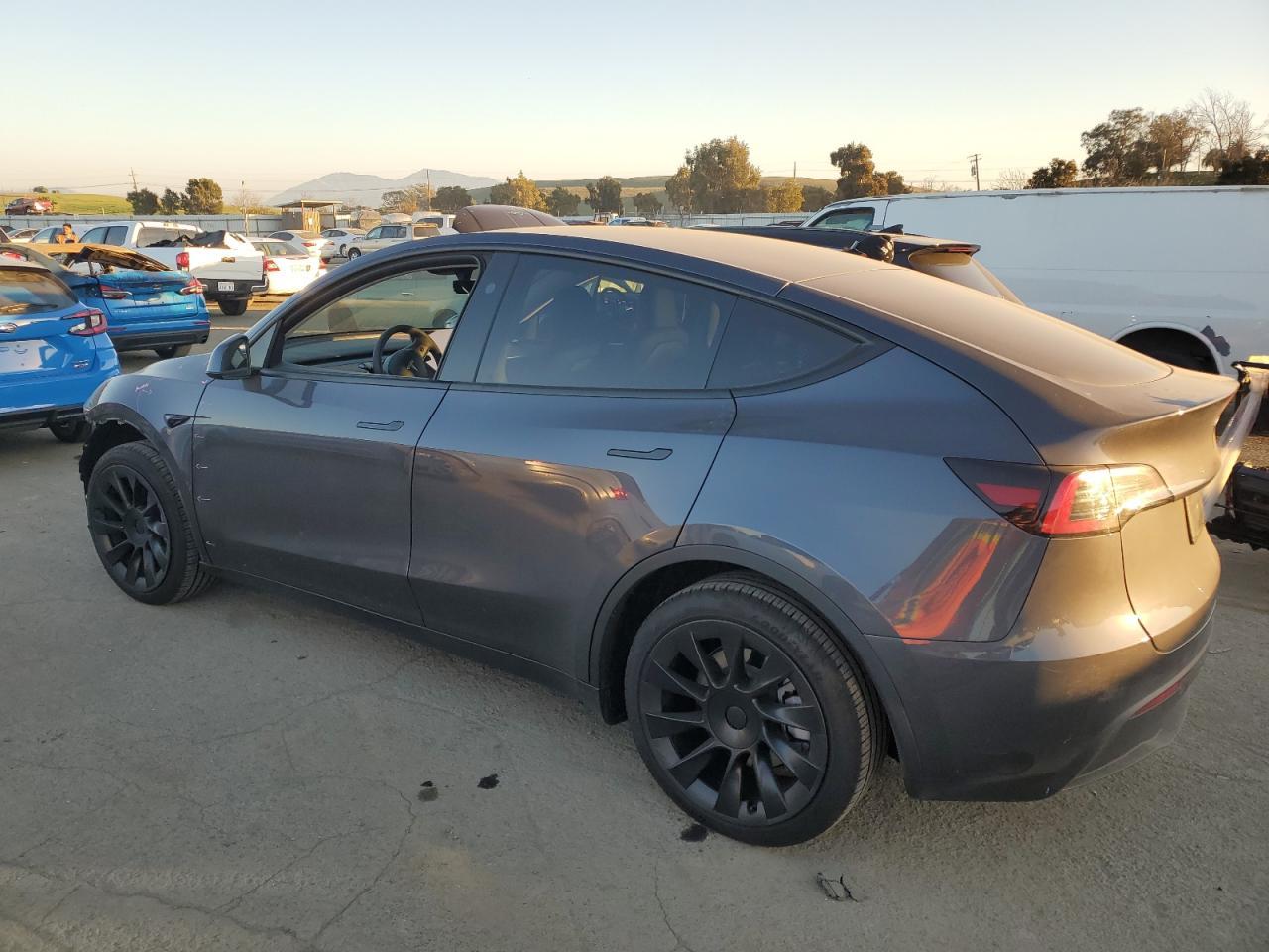 2023 TESLA MODEL Y - Фото 2
