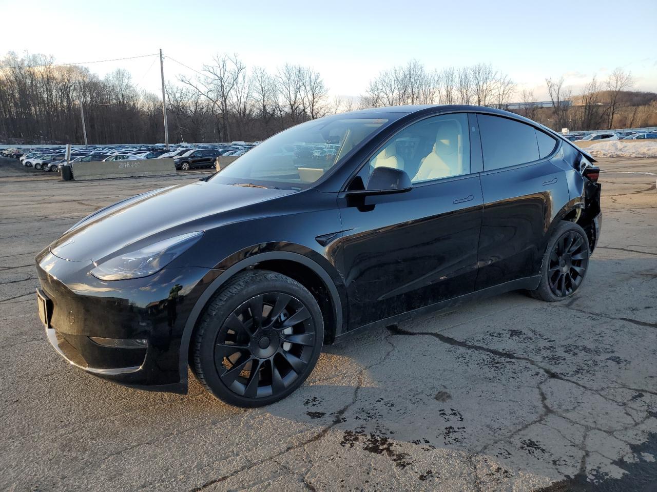 2024 TESLA MODEL Y