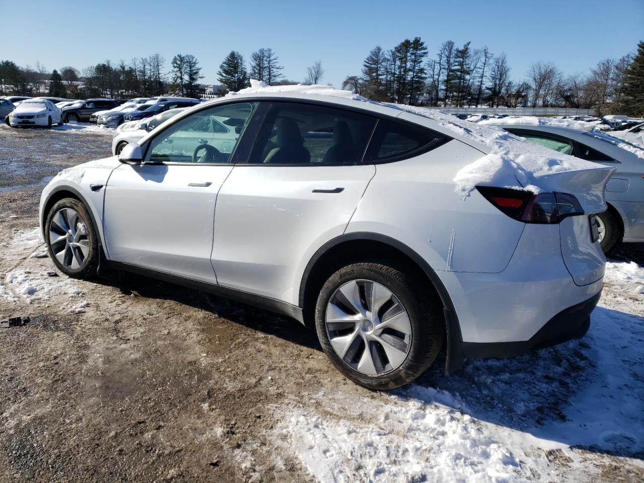2024 TESLA MODEL Y - Фото 2