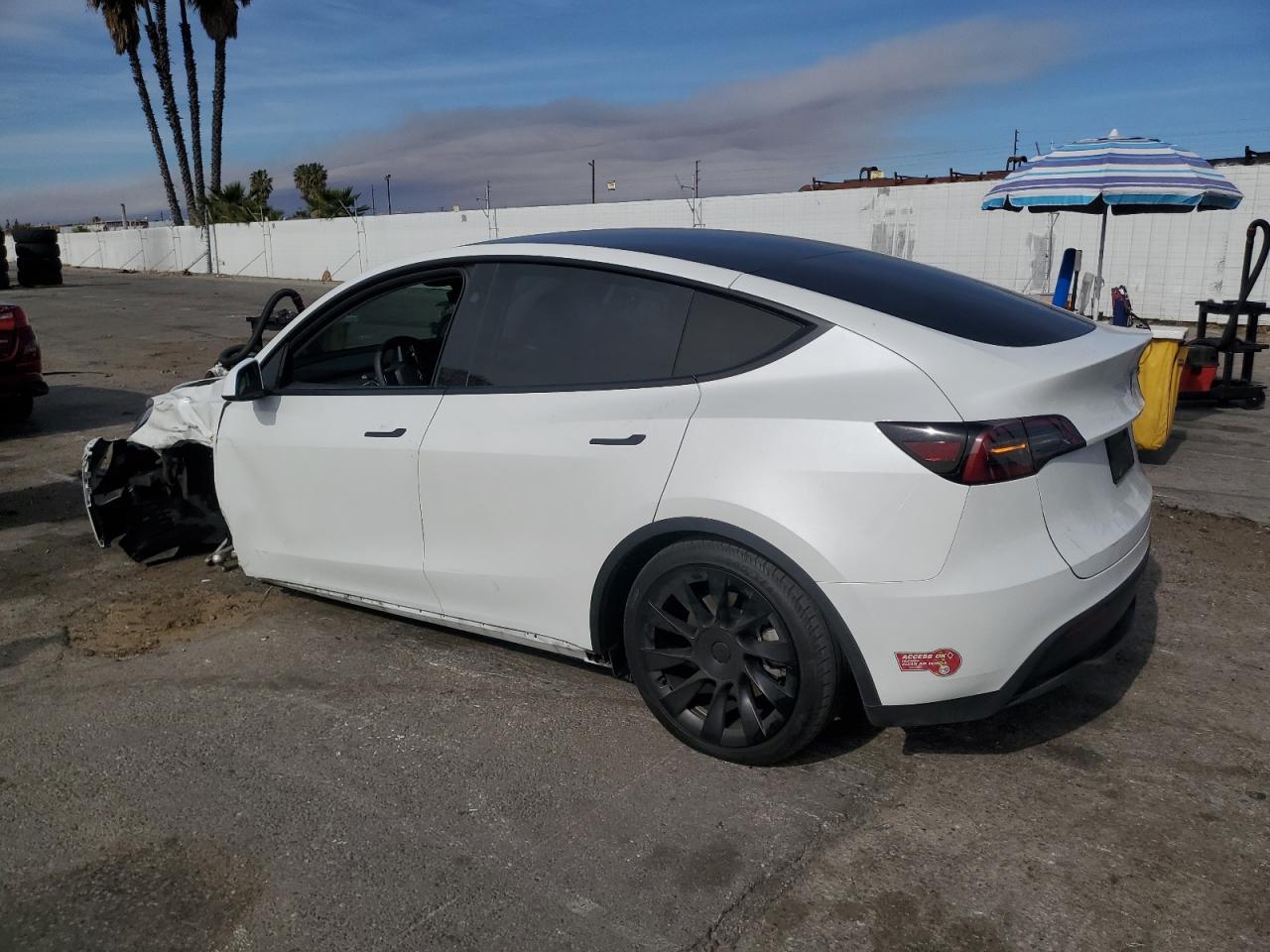 2023 TESLA MODEL Y - Фото 2