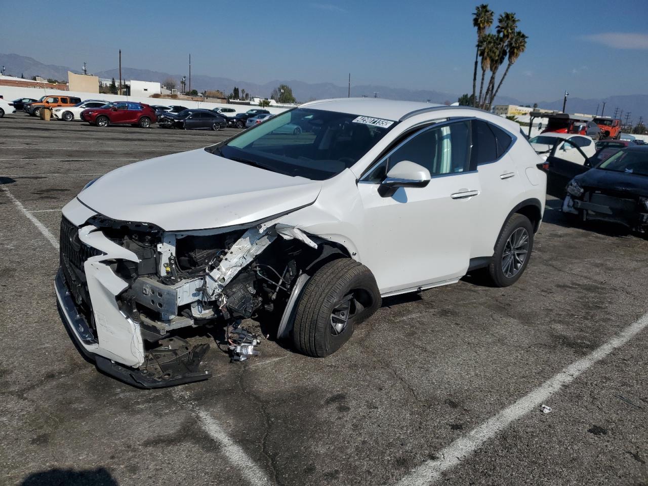 2024 LEXUS NX 350H BA