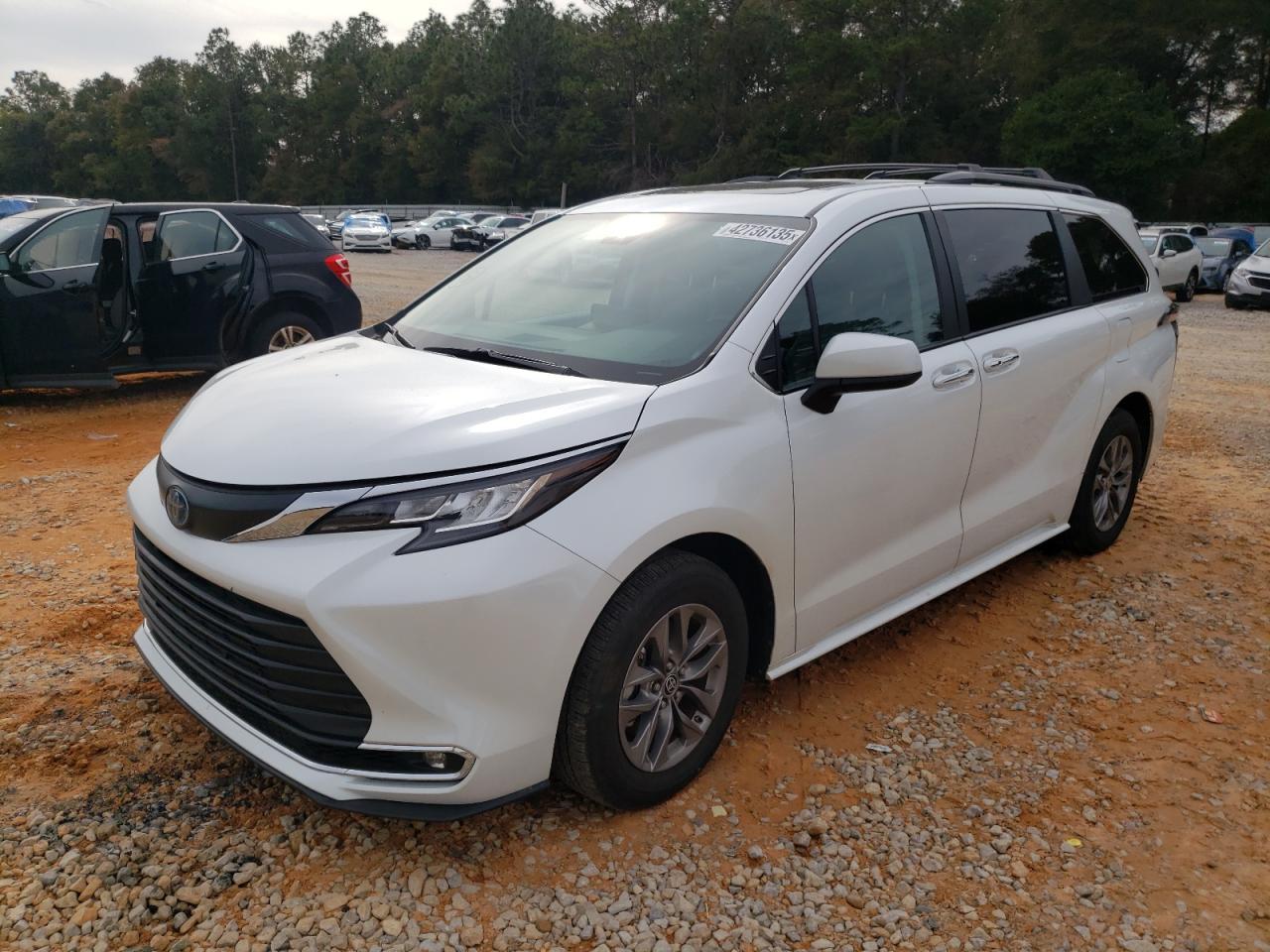 2023 TOYOTA SIENNA XLE