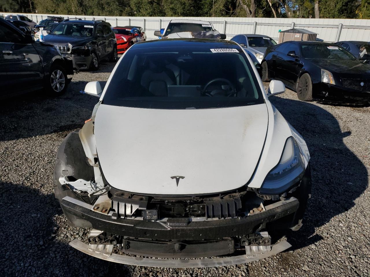 2019 TESLA MODEL 3 - Image 5