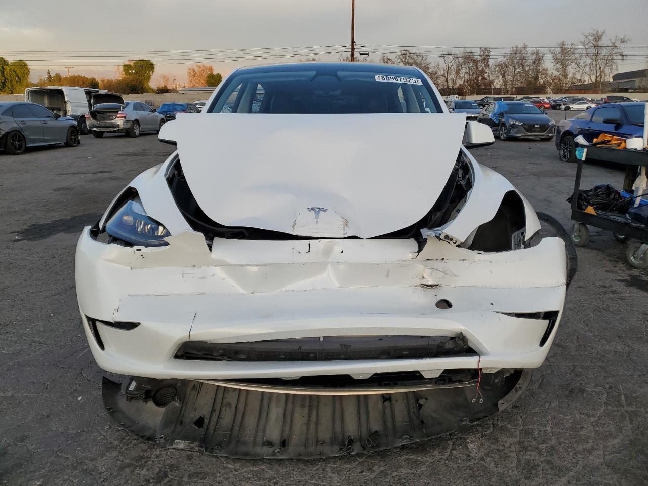 2023 TESLA MODEL Y - Фото 5