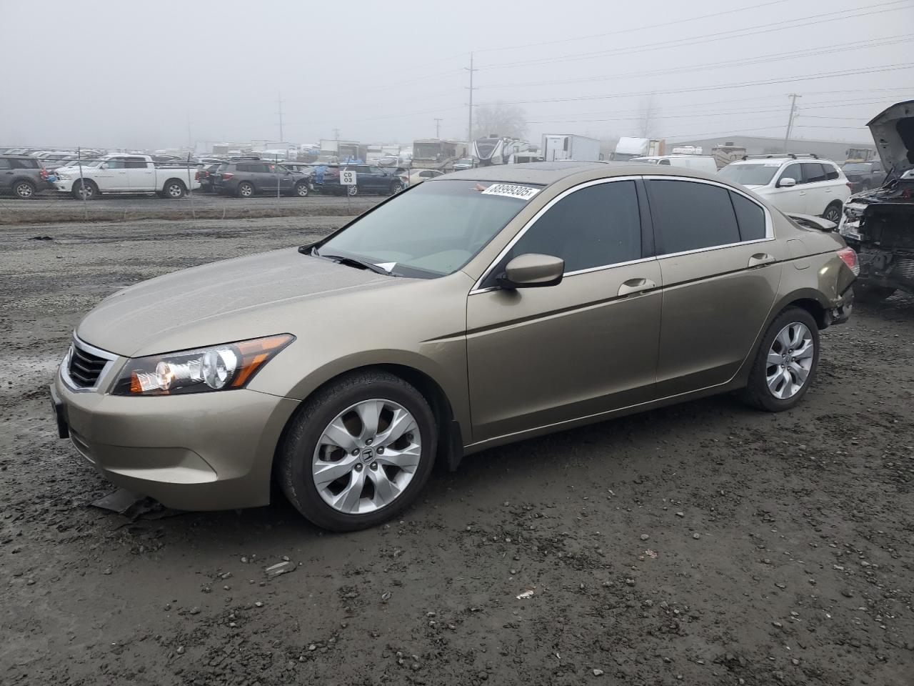 2010 HONDA ACCORD EXL