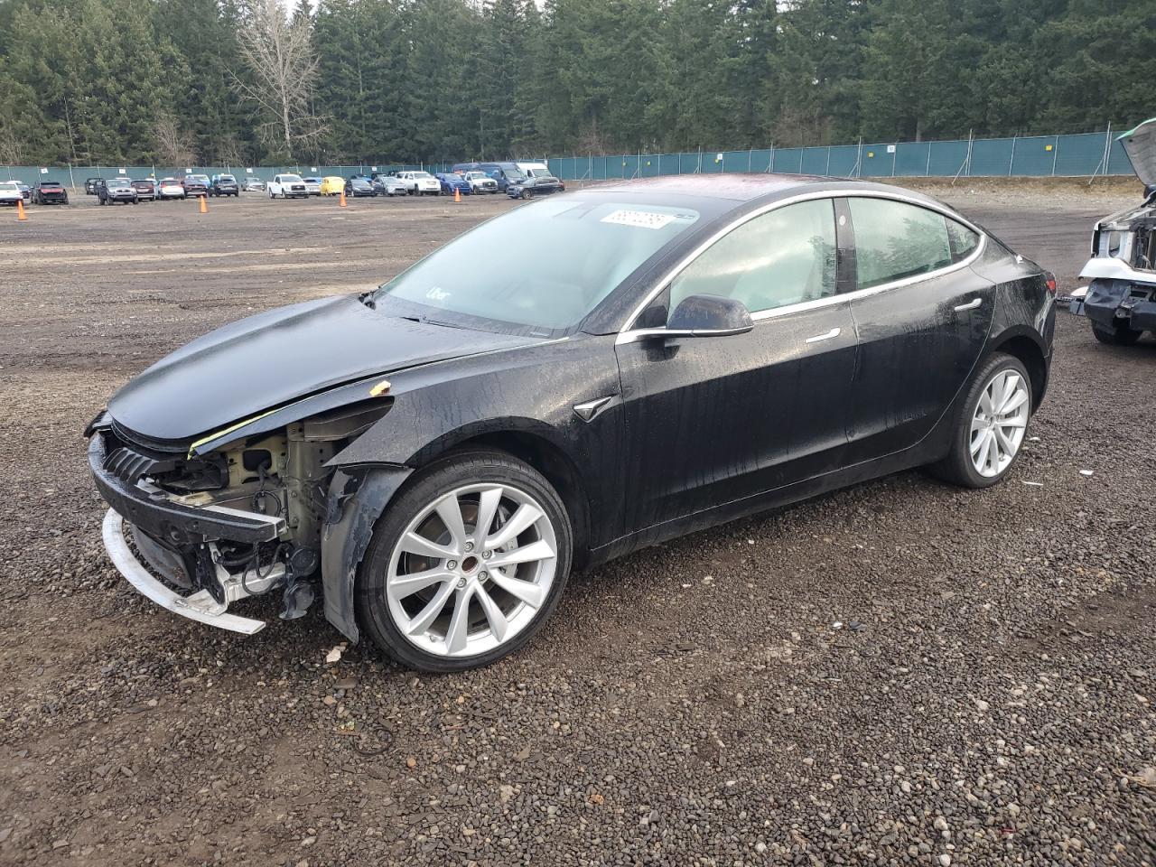 2019 TESLA MODEL 3