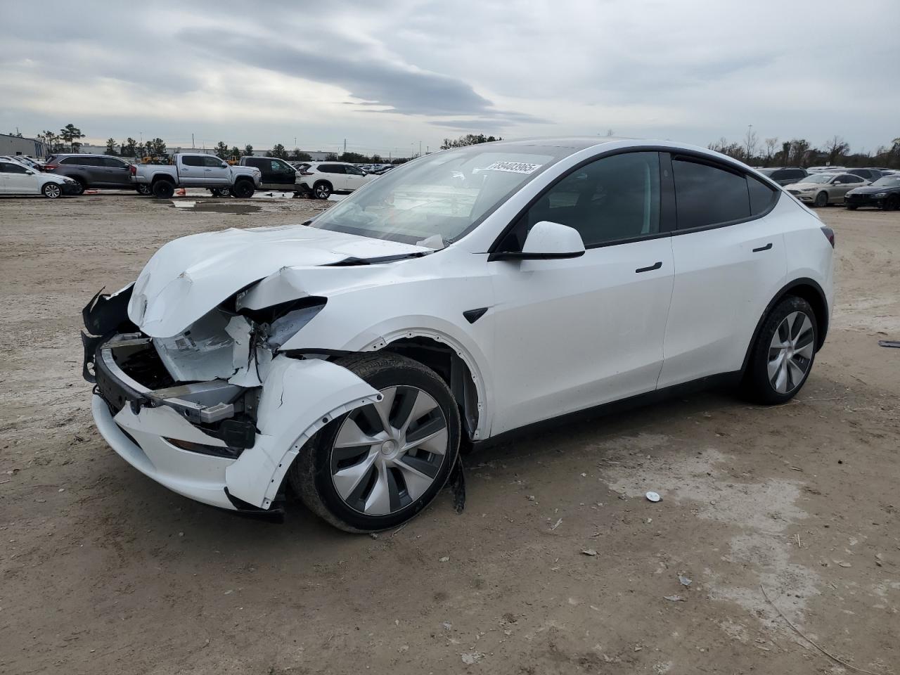 2024 TESLA MODEL Y