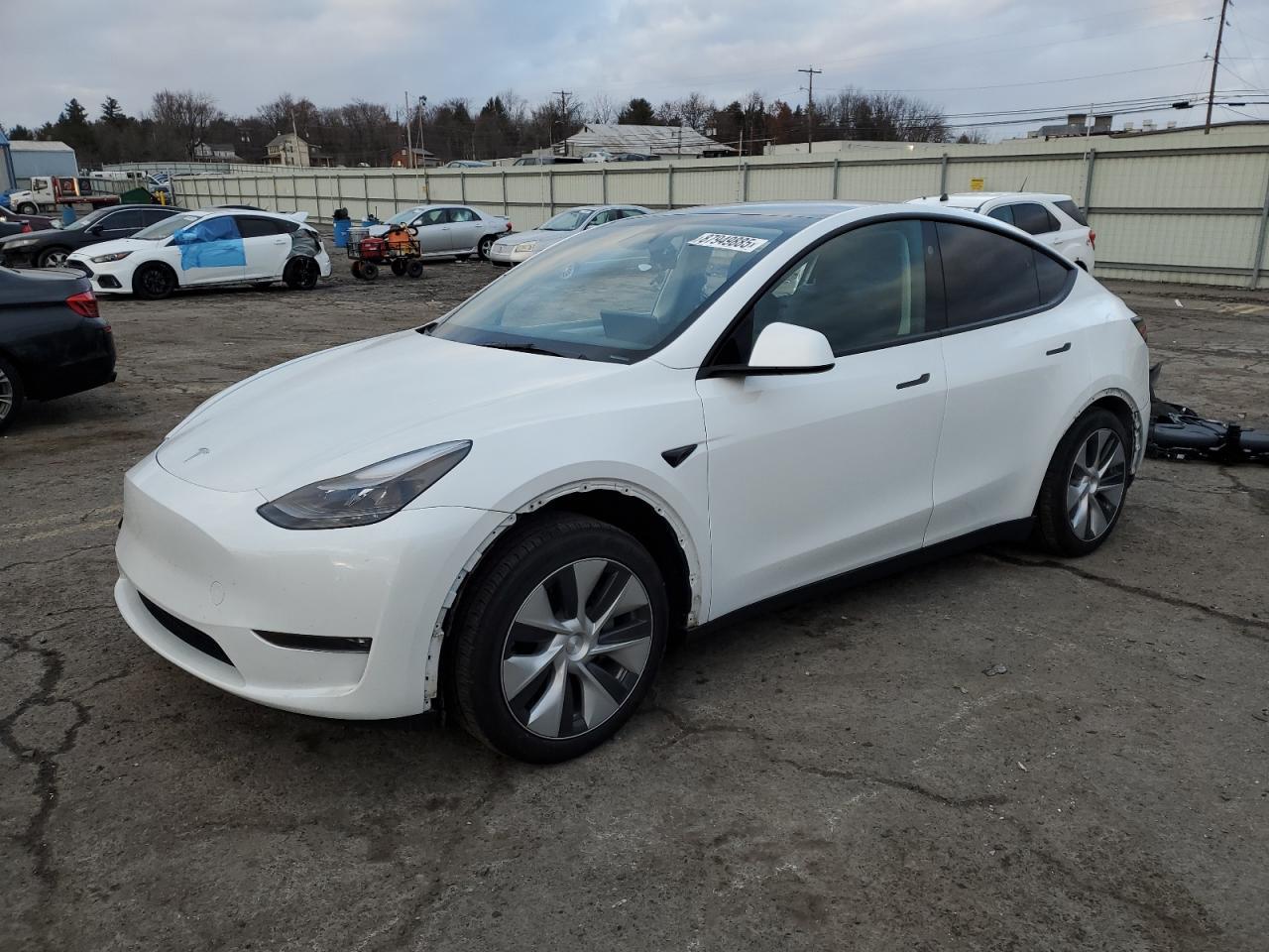 2023 TESLA MODEL Y