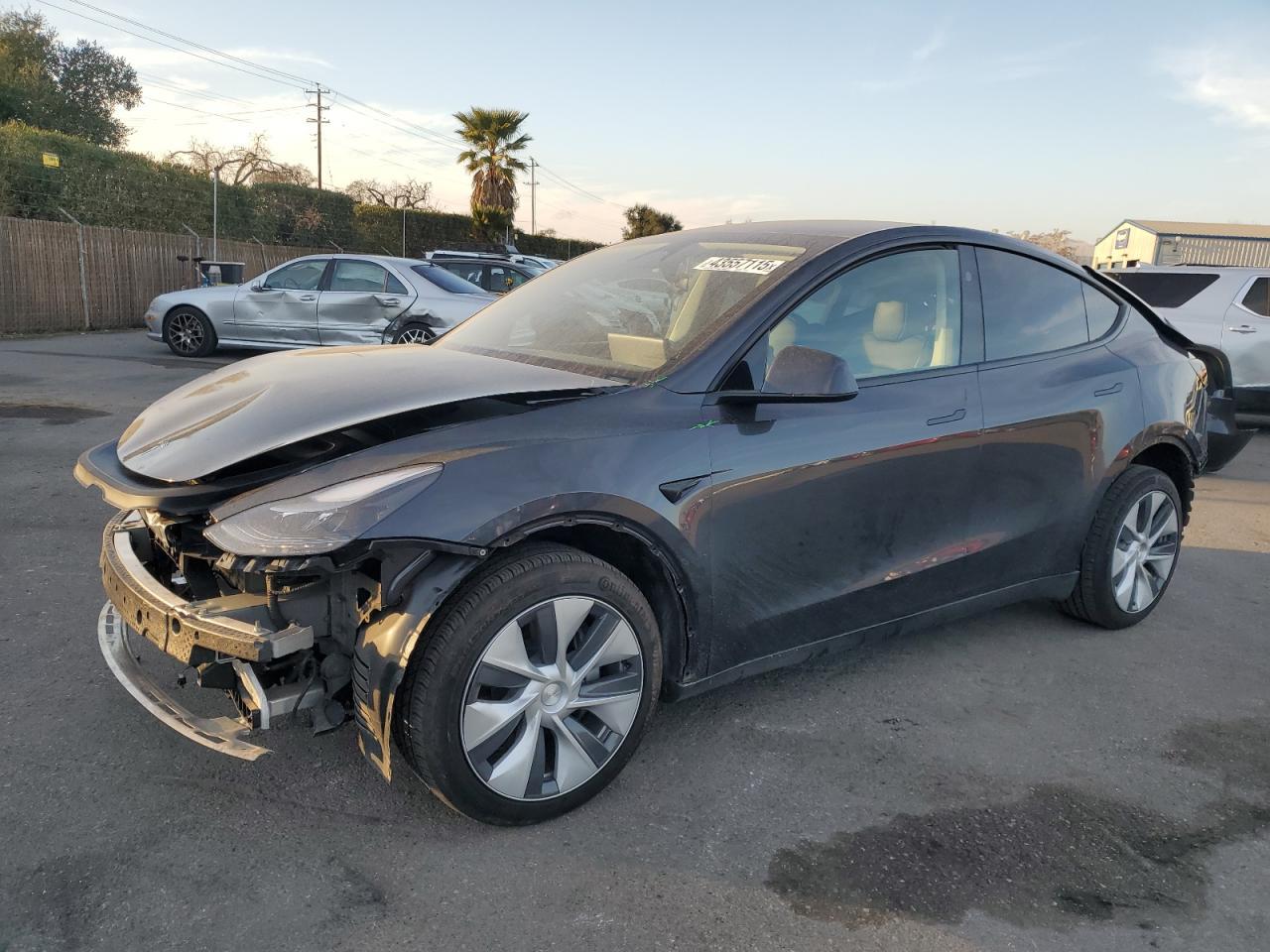2024 TESLA MODEL Y