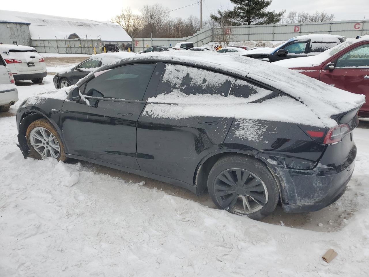 2023 TESLA MODEL Y - Фото 2