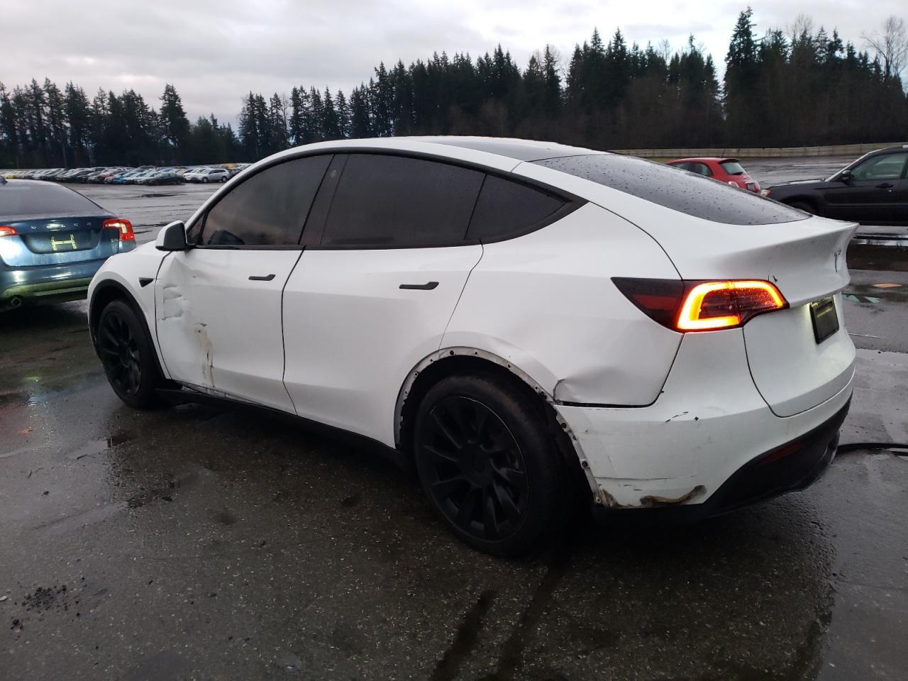 2023 TESLA MODEL Y - Фото 2