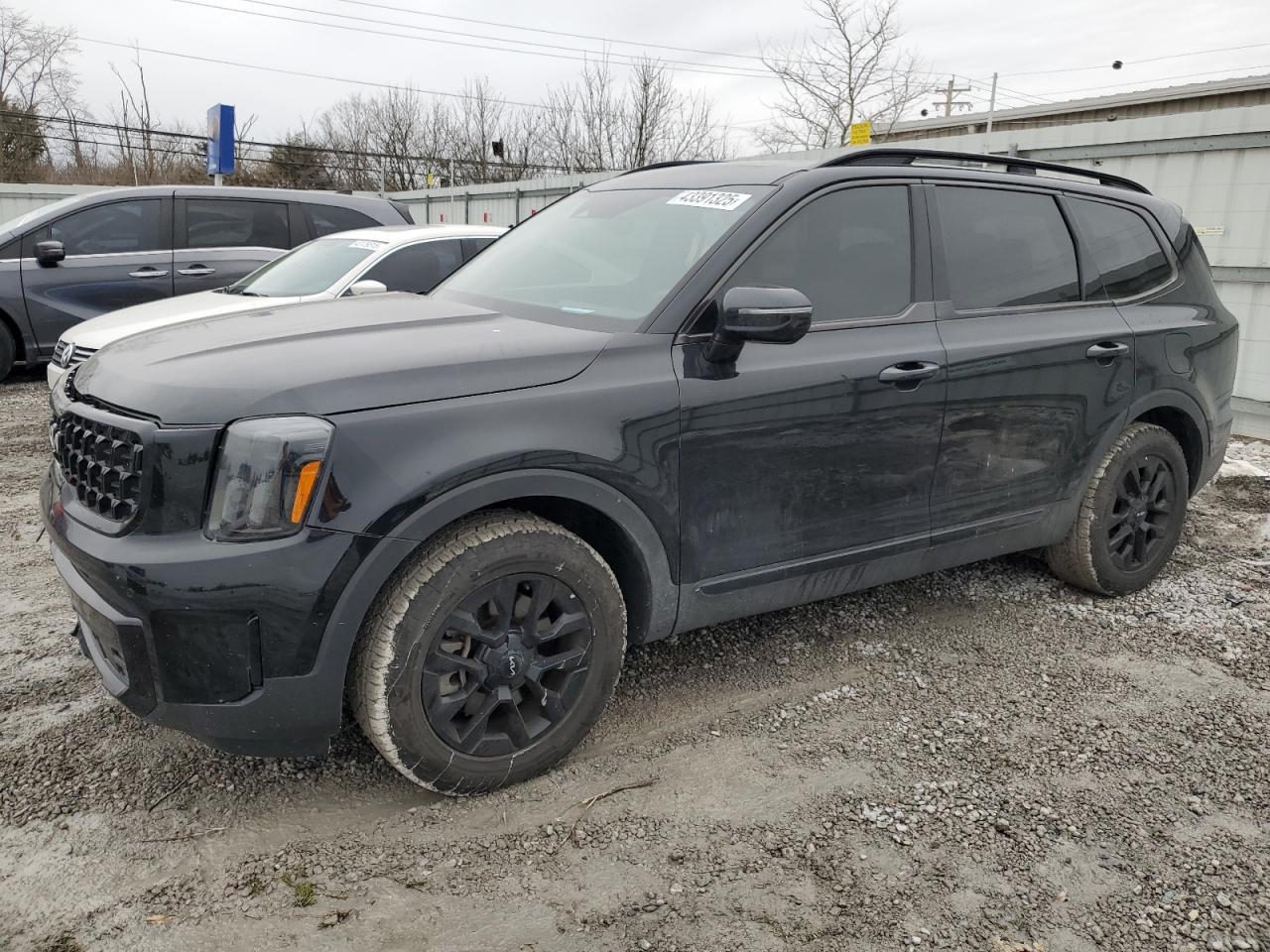 2024 KIA TELLURIDE
