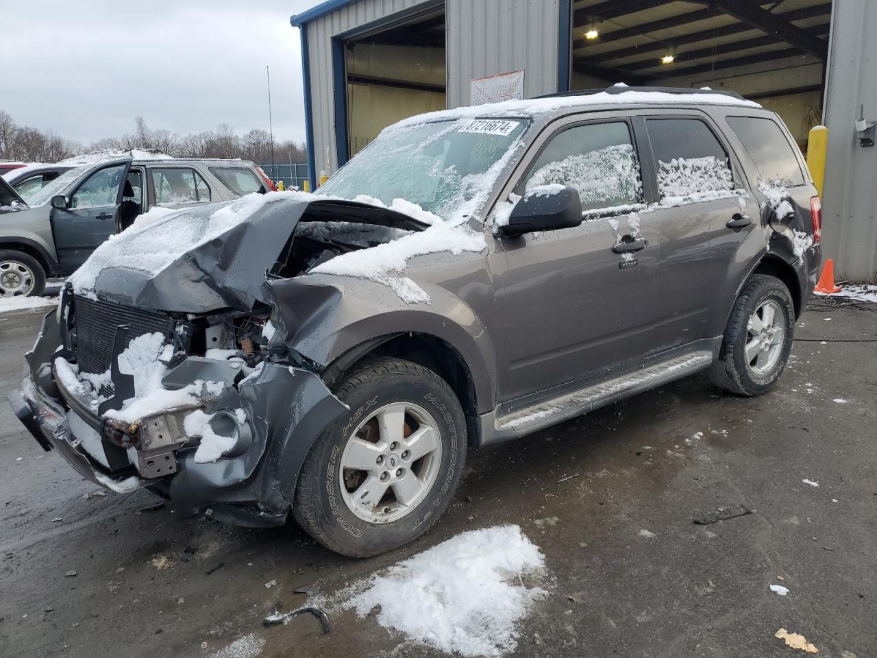 2010 FORD ESCAPE XLT