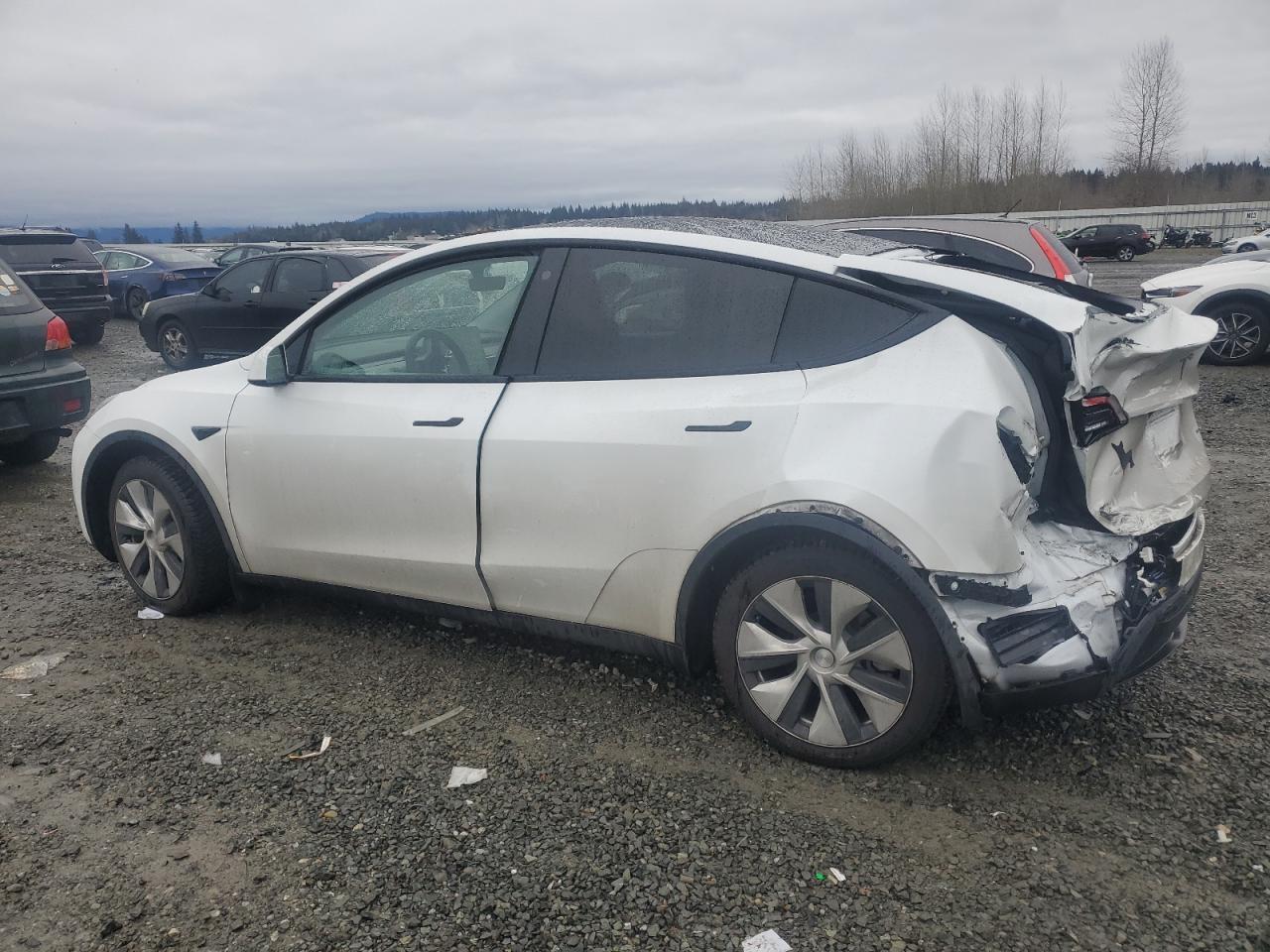 2022 TESLA MODEL Y - Image 2