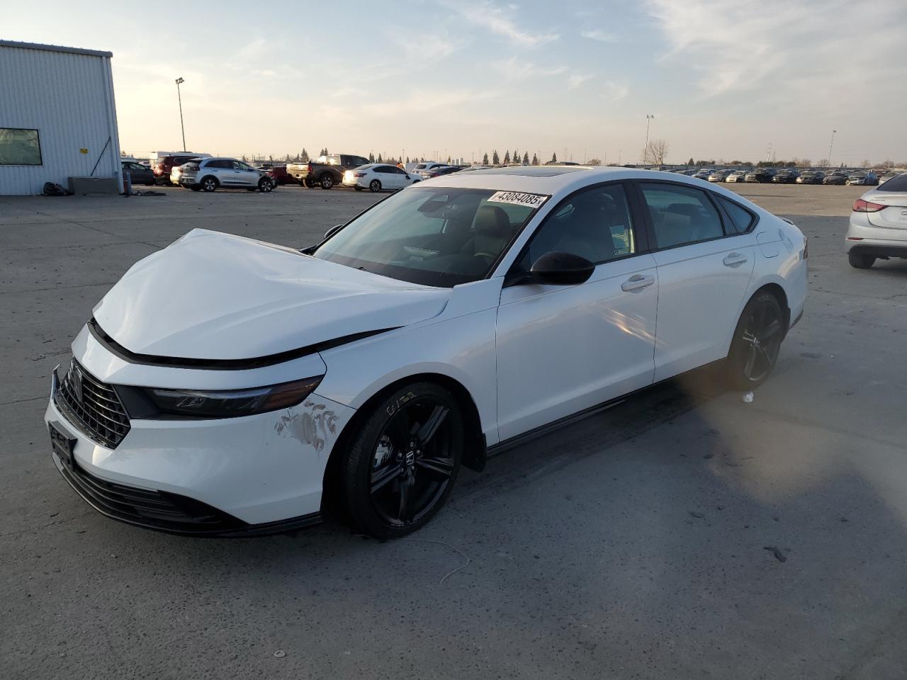 2024 HONDA ACCORD HYB