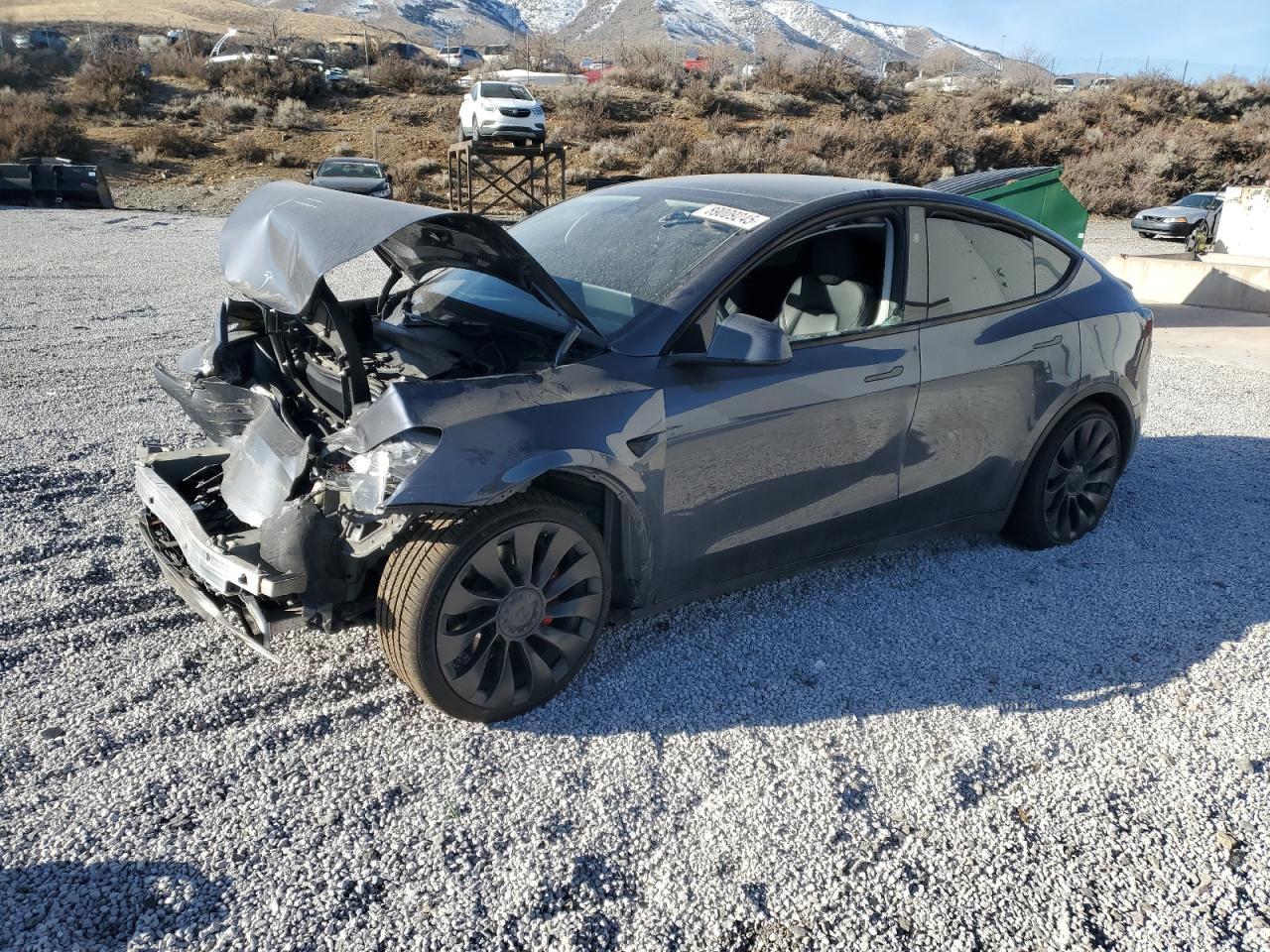 2023 TESLA MODEL Y