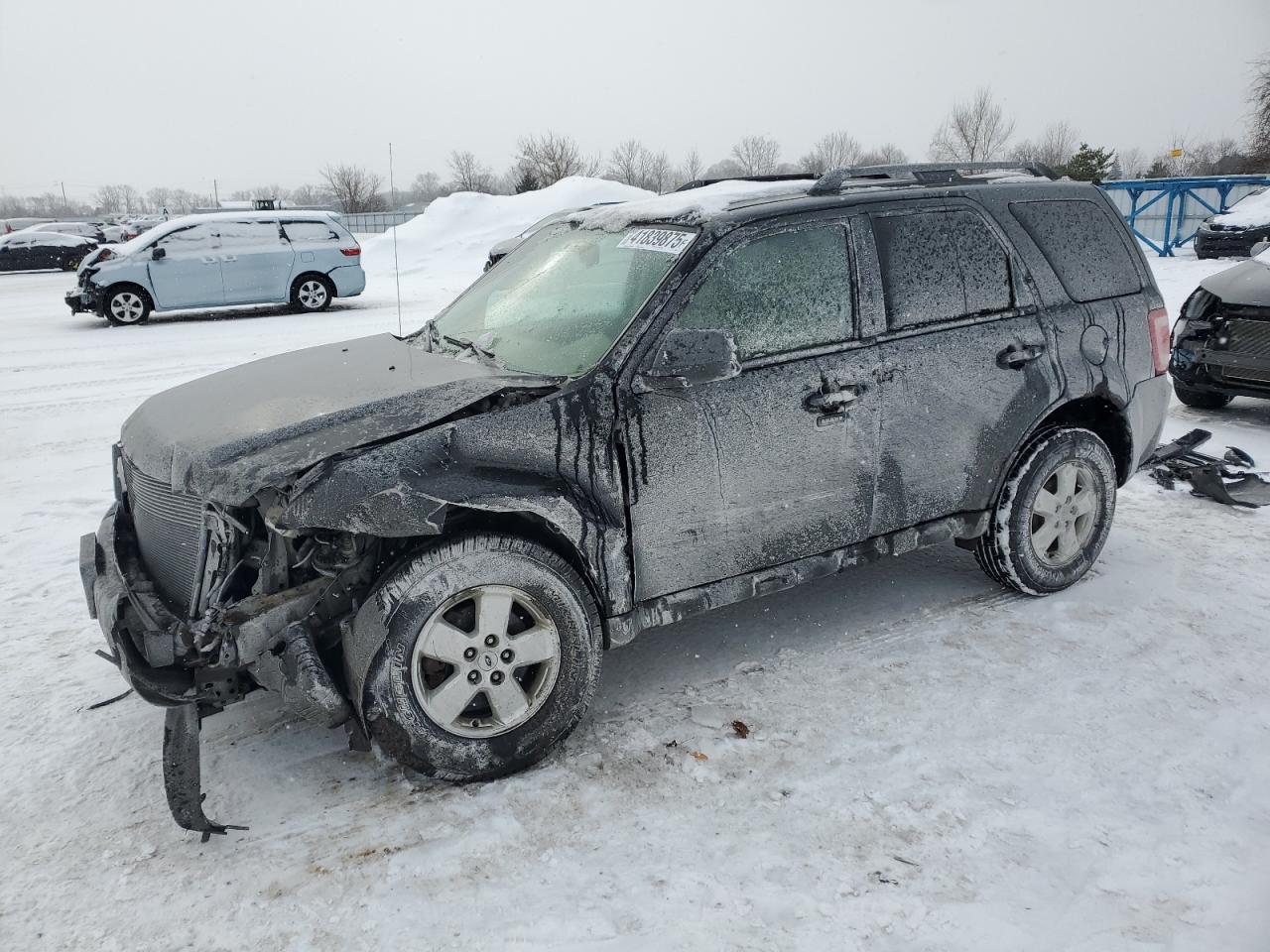 2010 FORD ESCAPE XLT