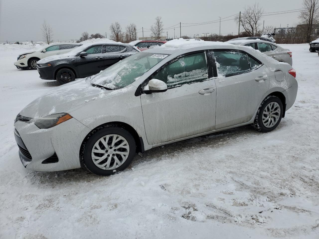 2019 TOYOTA COROLLA L
