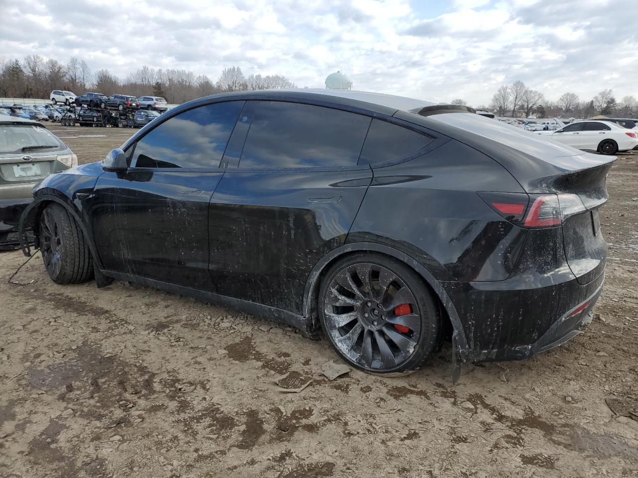 2023 TESLA MODEL Y - Фото 2