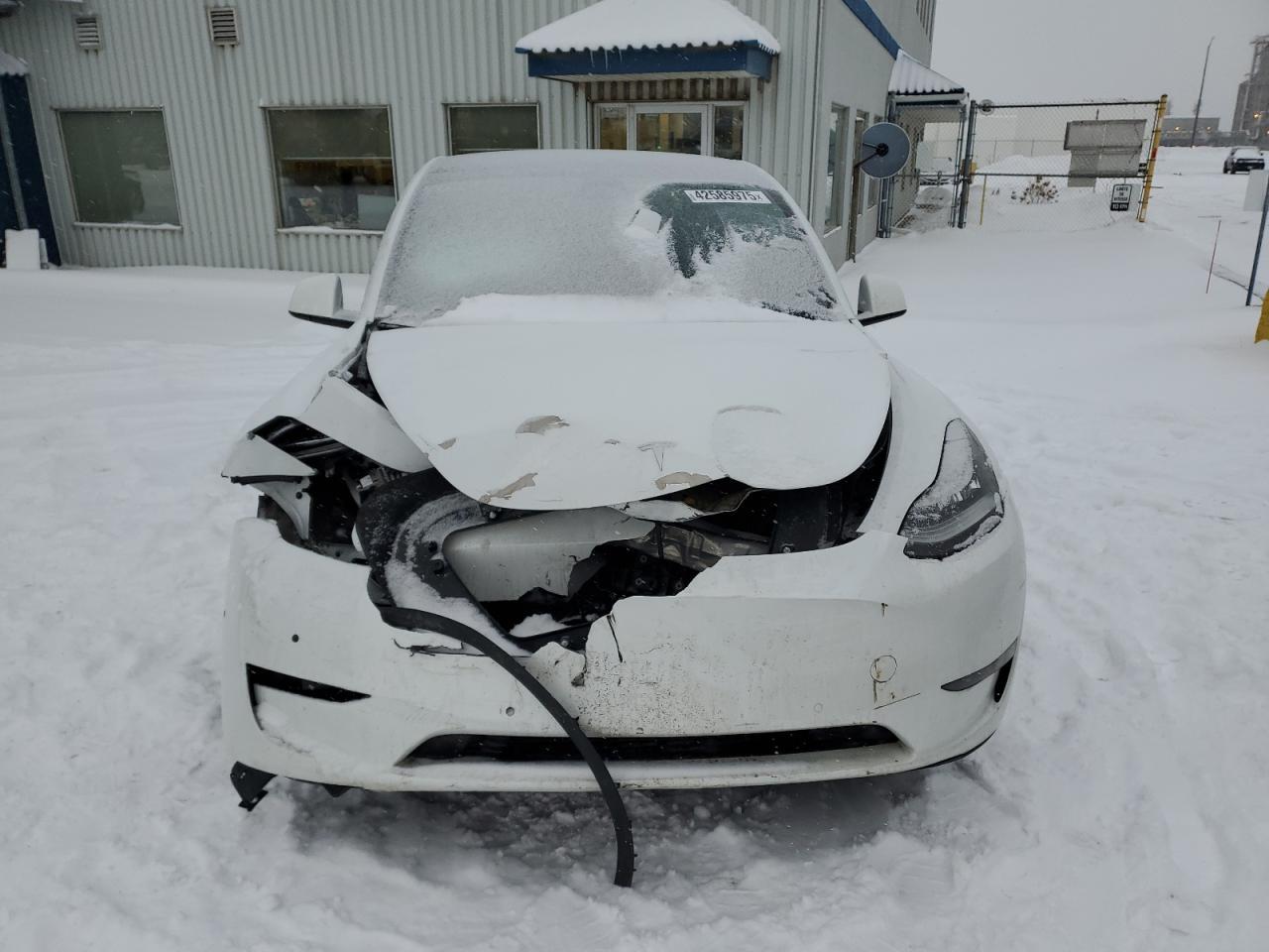 2022 TESLA MODEL Y - Image 5