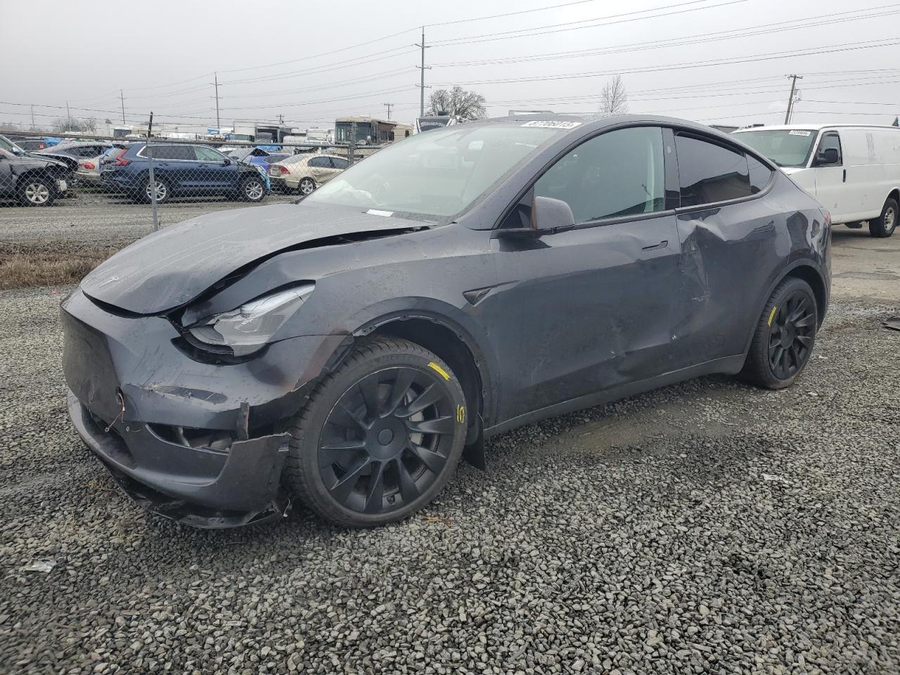 2024 TESLA MODEL Y