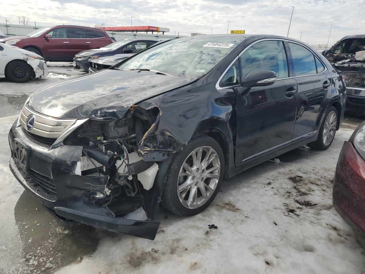 2010 LEXUS HS 250H car image