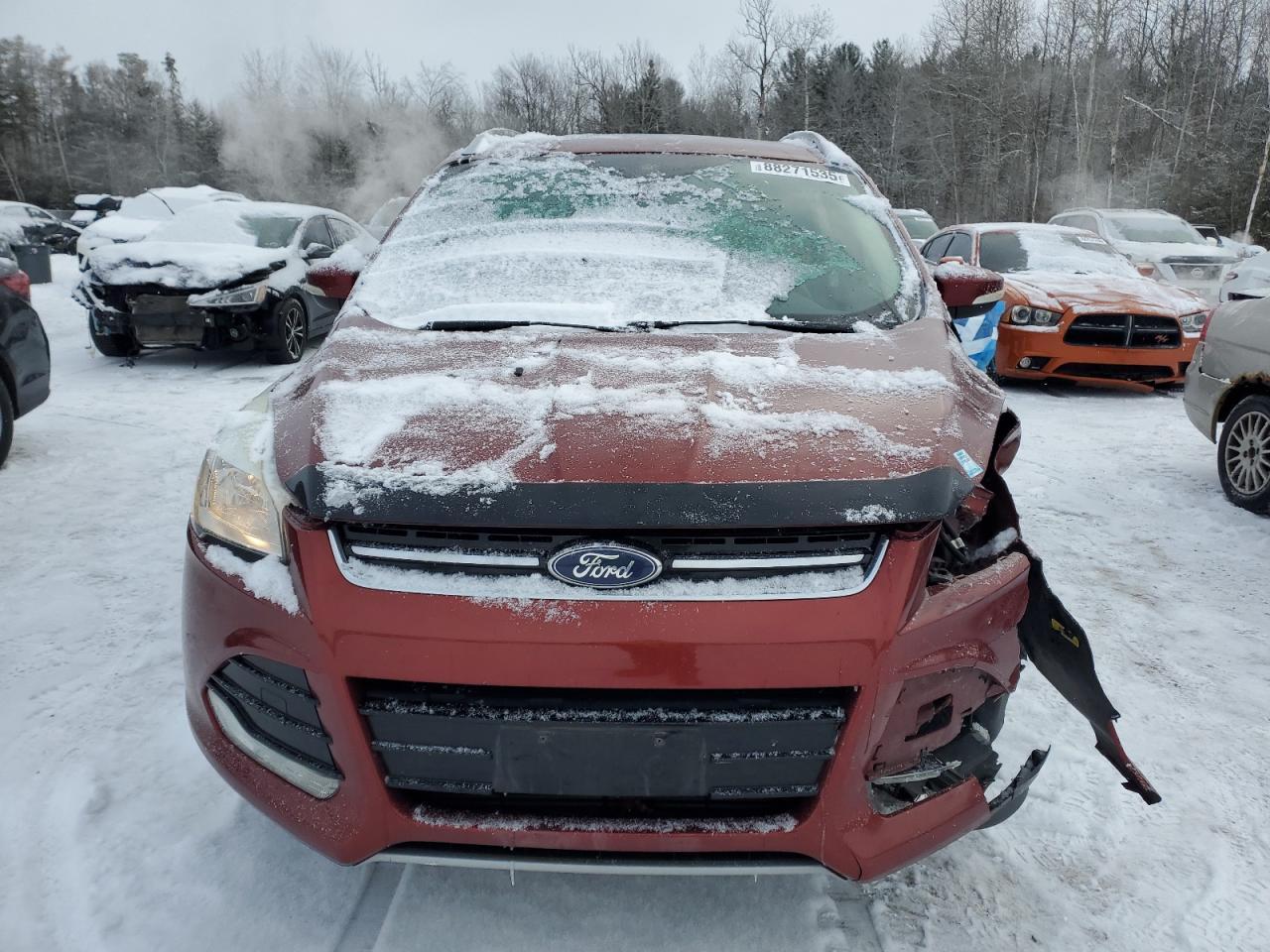 2016 FORD ESCAPE TIT - Image 5