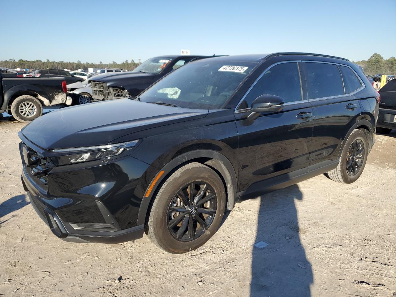 2023 HONDA CR-V SPORT