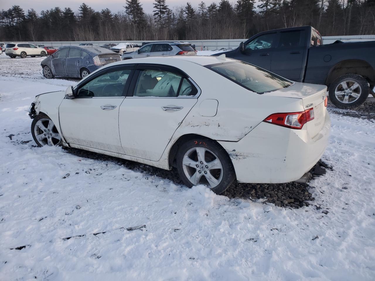 2010 ACURA TSX - Image 2