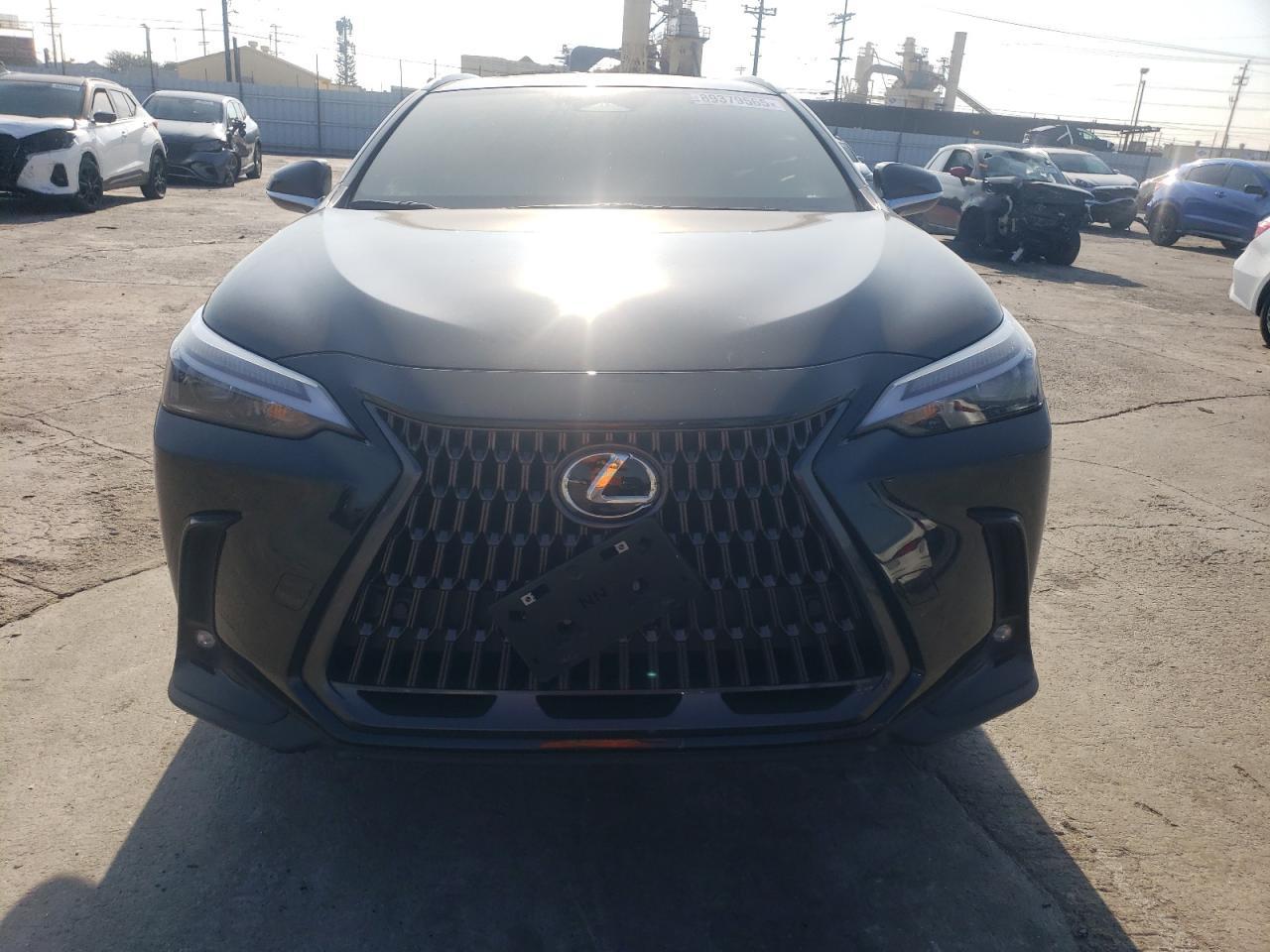 2024 LEXUS NX 350H BA - Фото 5