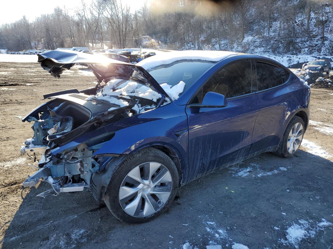 2024 TESLA MODEL Y
