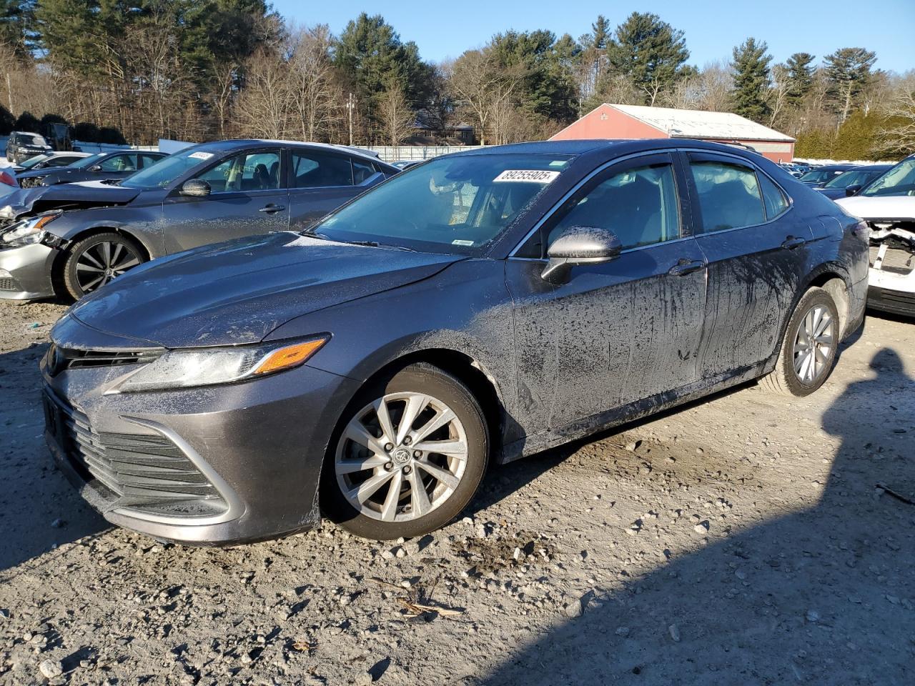 2024 TOYOTA CAMRY LE