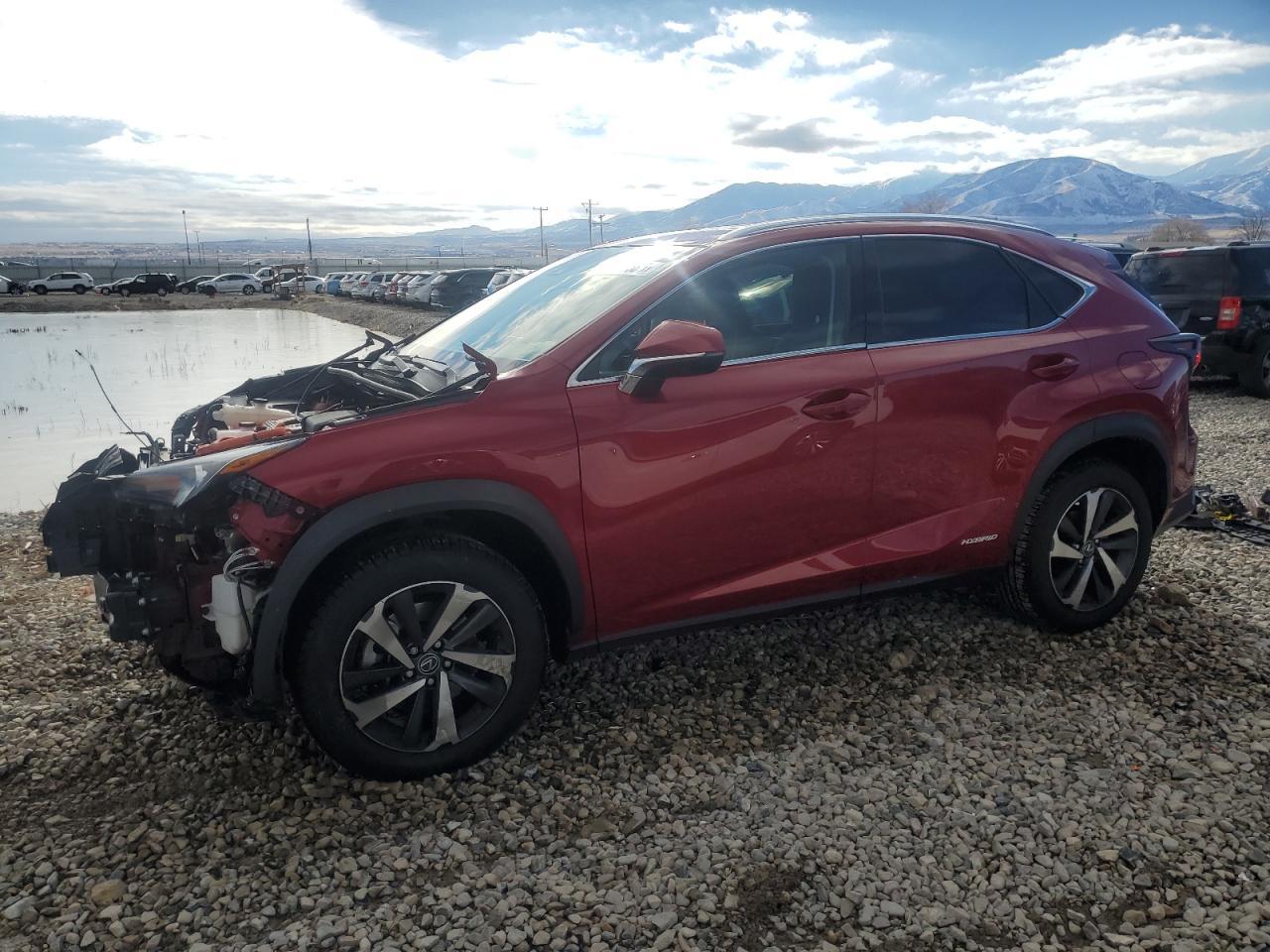 2020 LEXUS NX 300H