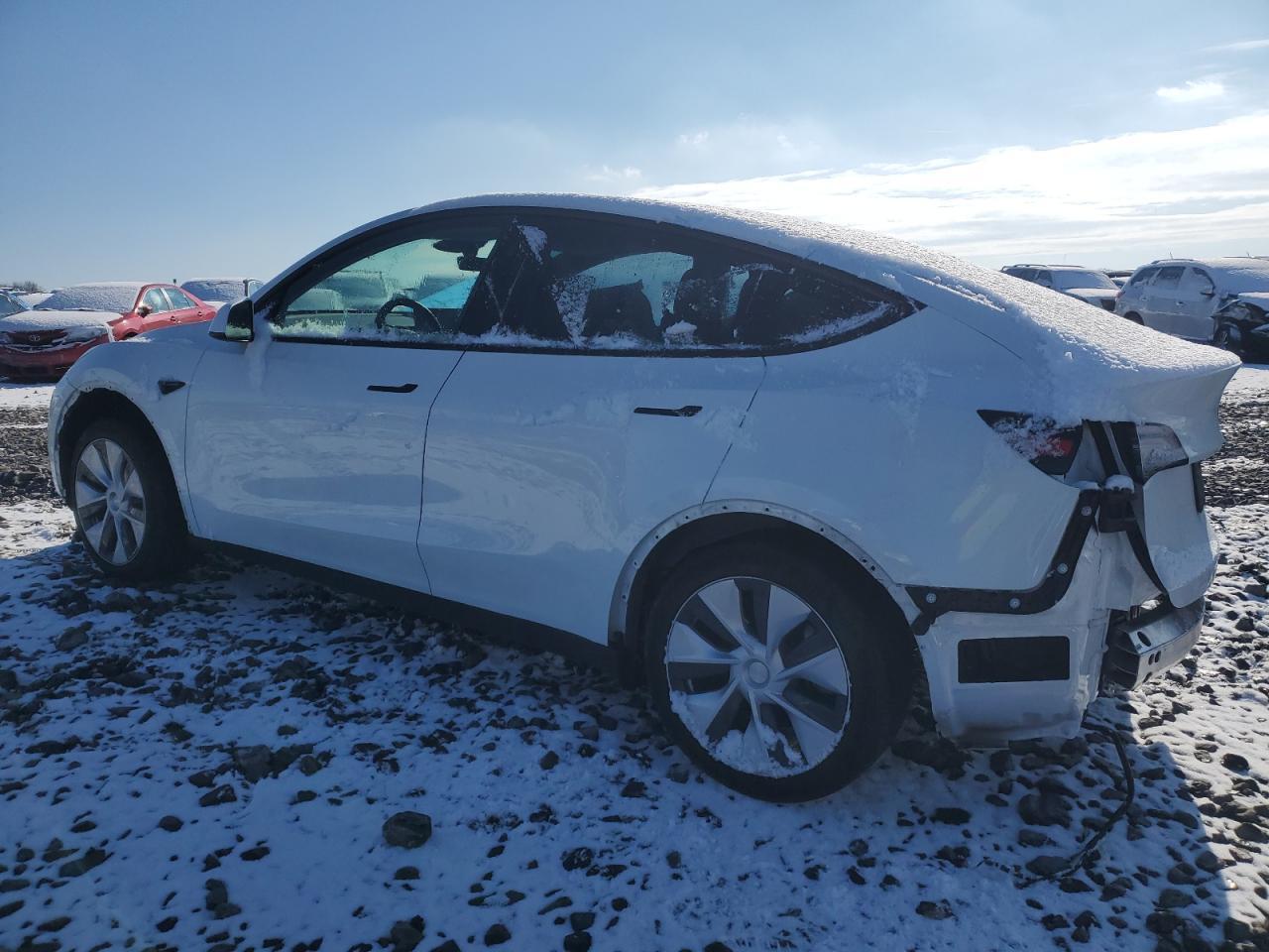 2023 TESLA MODEL Y - Фото 2