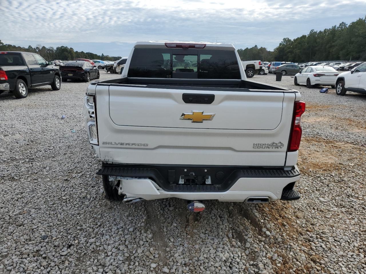 2024 CHEVROLET SILVERADO - Image 6