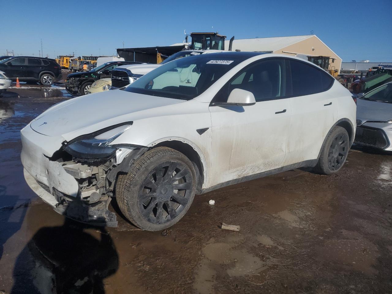 2023 TESLA MODEL Y