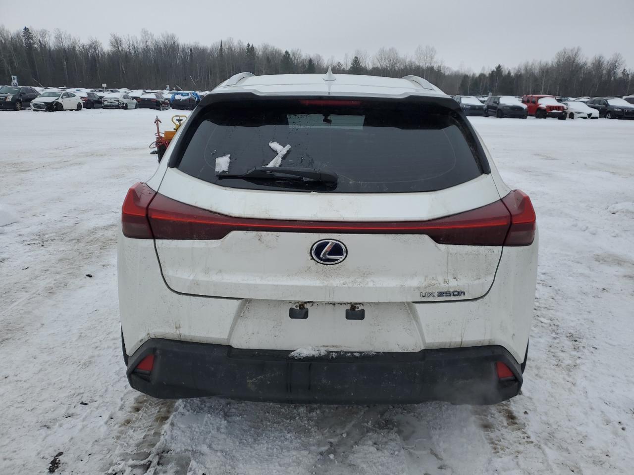 2021 LEXUS UX 250H - Image 6