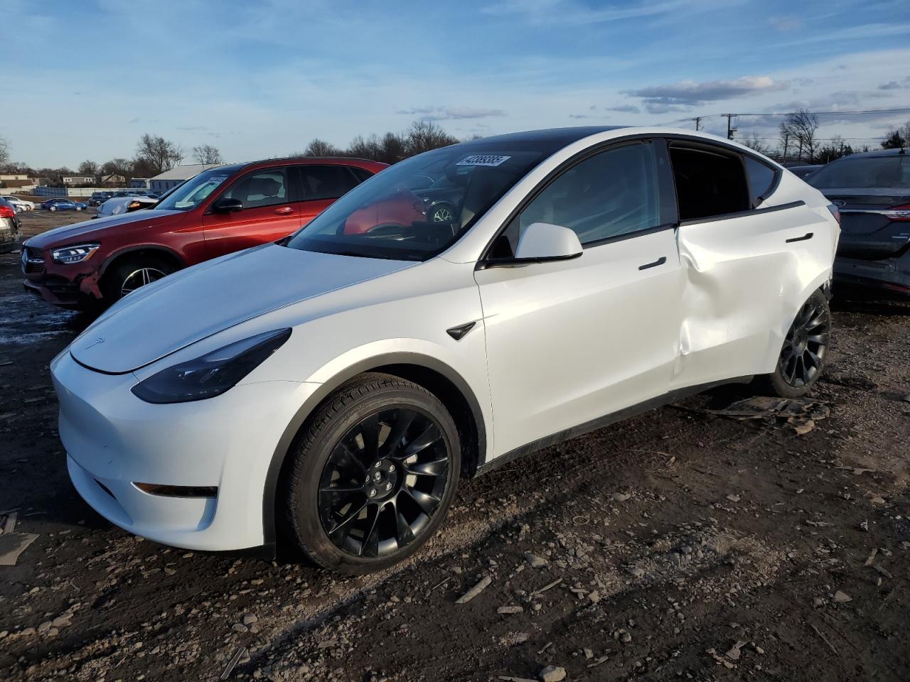 2024 TESLA MODEL Y