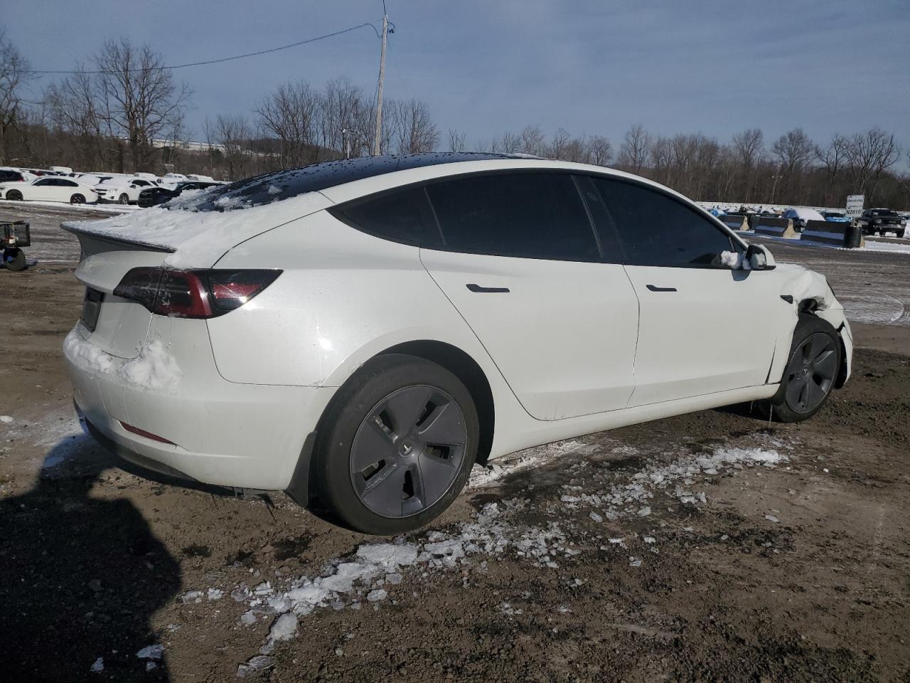 2023 TESLA MODEL 3 - Фото 3