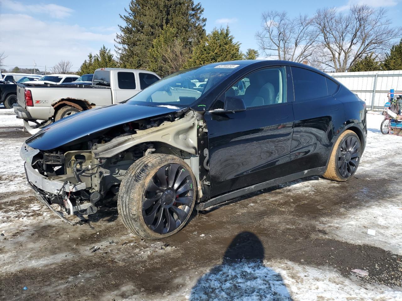 2023 TESLA MODEL Y