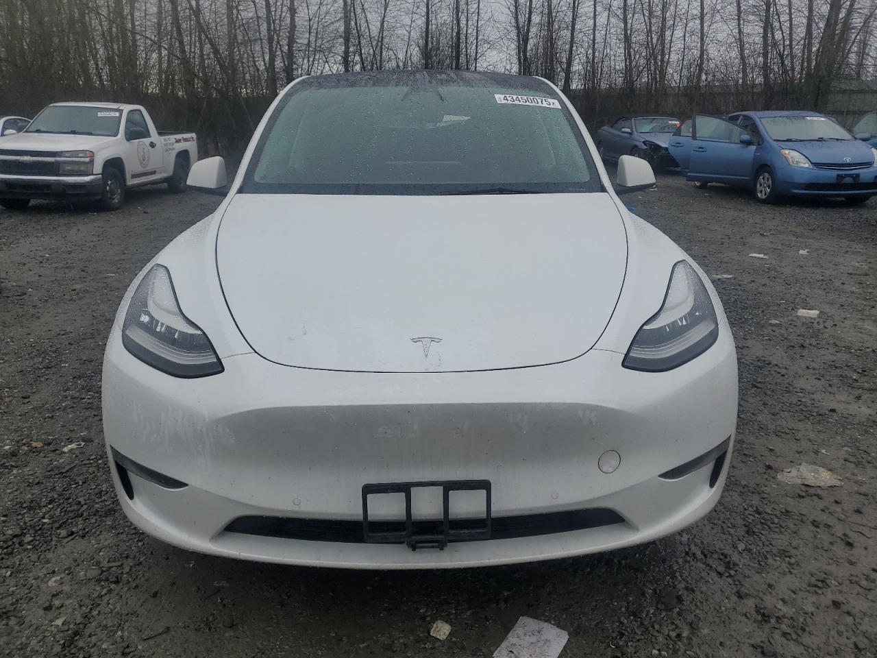 2022 TESLA MODEL Y - Image 5
