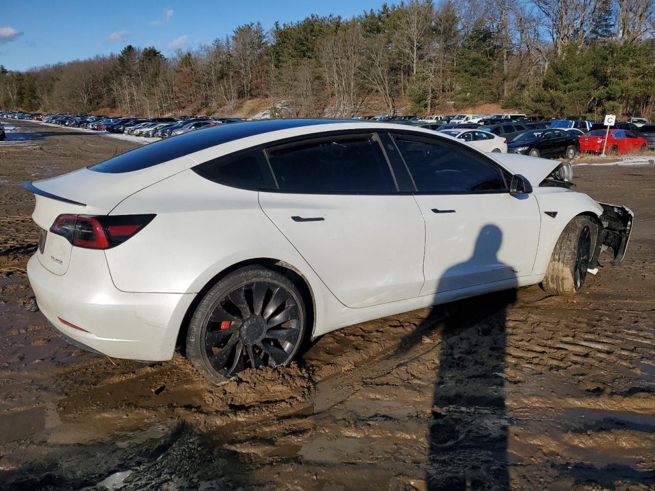 2023 TESLA MODEL 3 - Фото 3