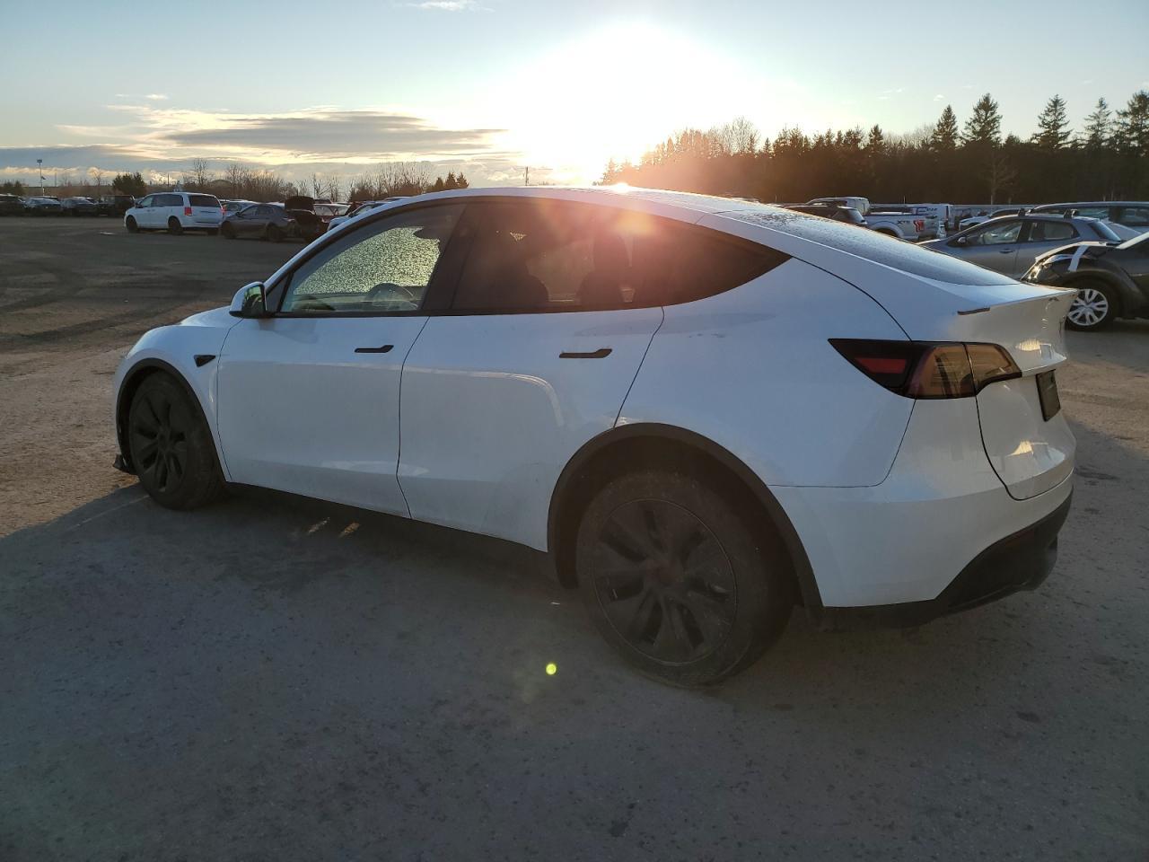 2024 TESLA MODEL Y - Фото 2