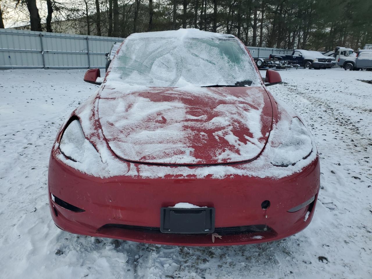 2023 TESLA MODEL Y - Фото 5