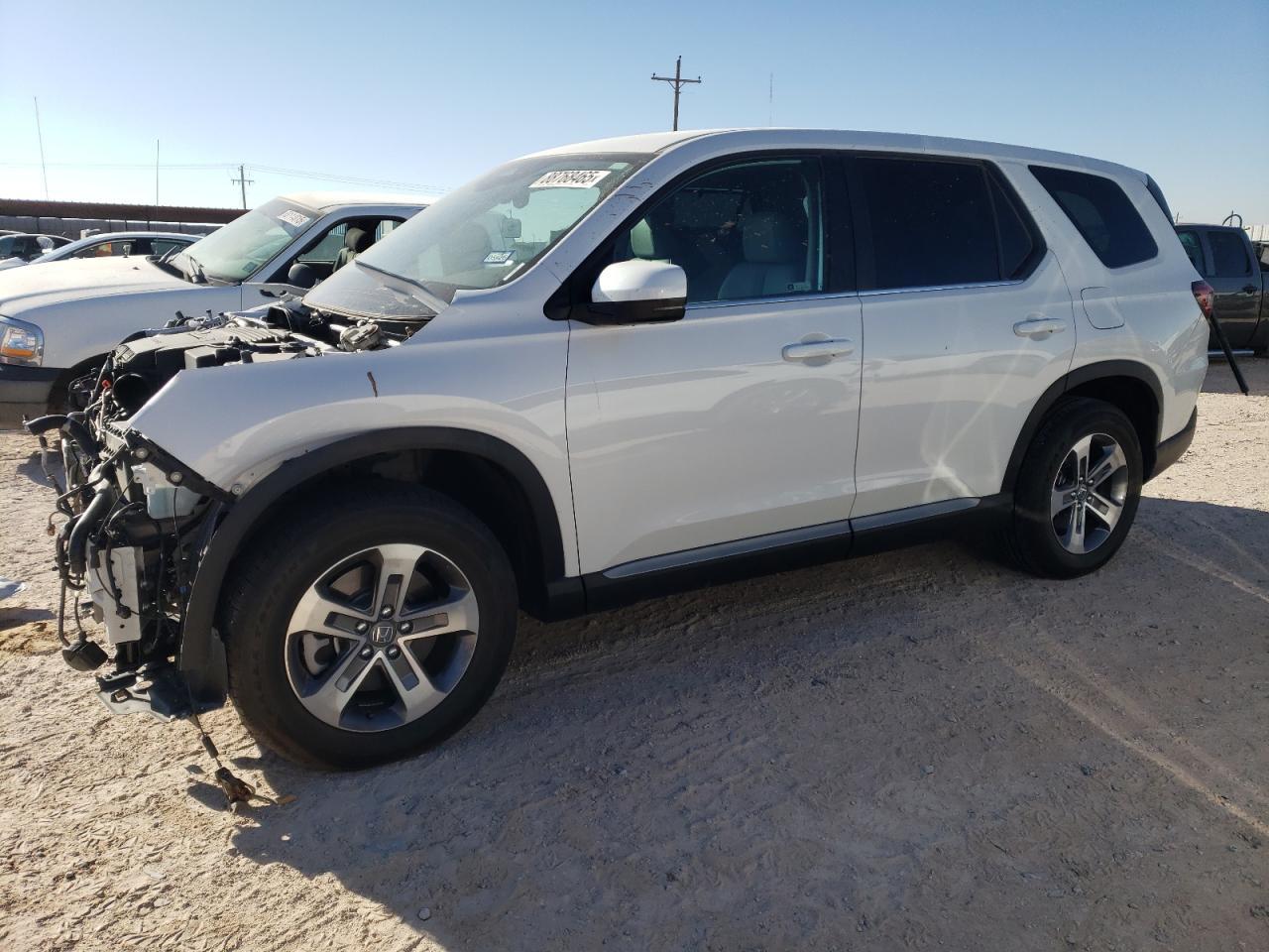 2024 HONDA PILOT EXL