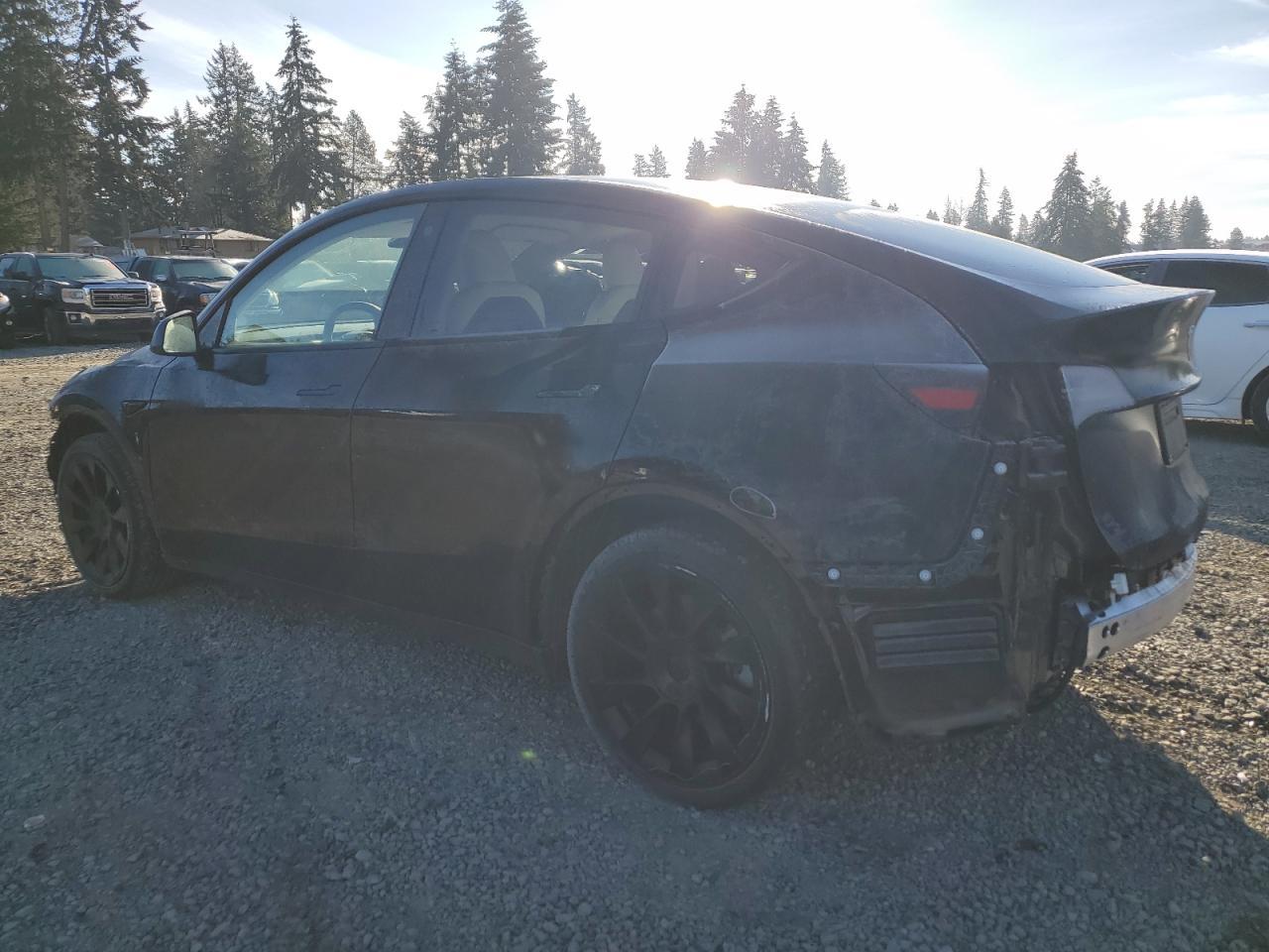 2023 TESLA MODEL Y - Фото 2