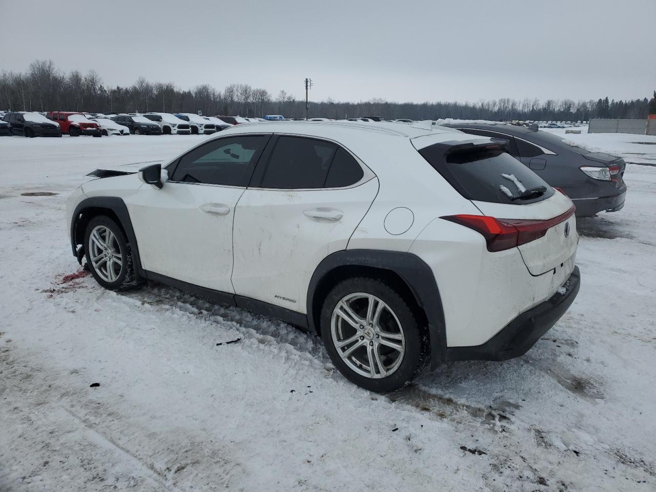 2021 LEXUS UX 250H - Image 2