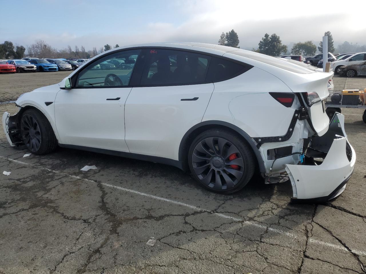 2022 TESLA MODEL Y - Image 2