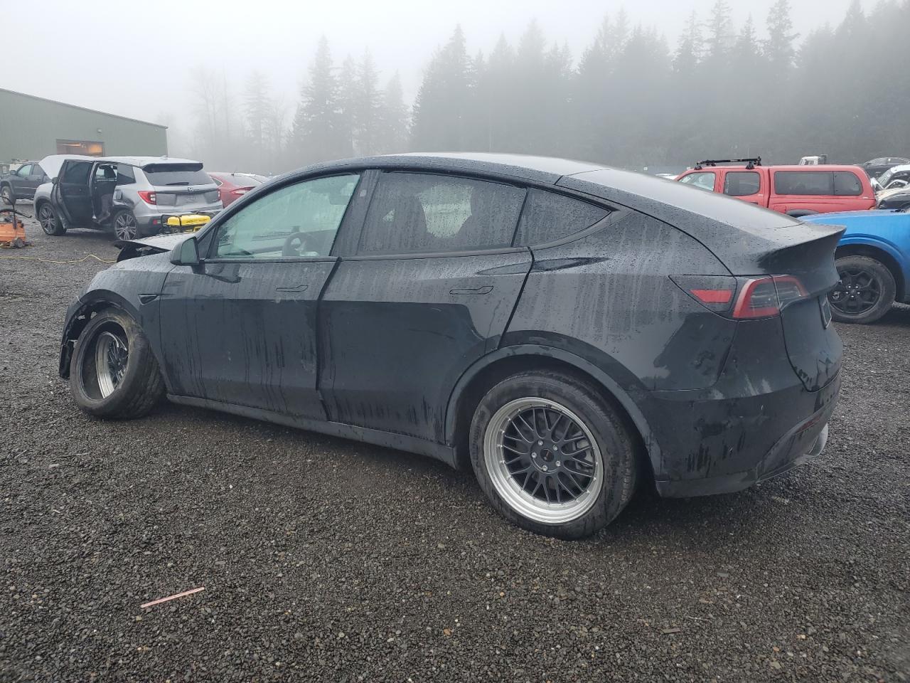 2023 TESLA MODEL Y - Фото 2