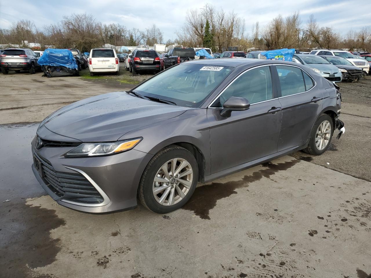 2023 TOYOTA CAMRY LE